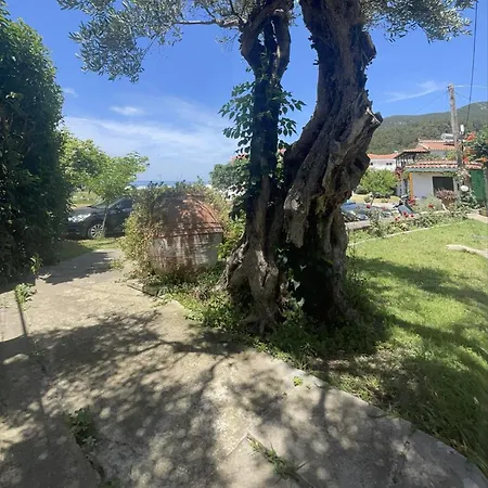 Apartment E&n *